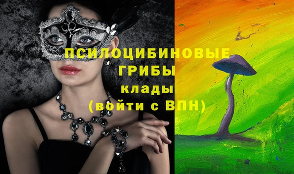 дурь Михайловск